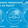 Провоз животных авиакомпания Победа